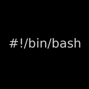 bash