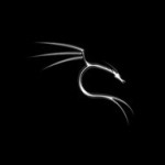 kali_linux_by_humanlly-d610b7r.png